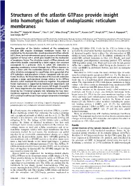 Structures of the Atlastin Gtpase Provide Insight Into Homotypic Fusion of Endoplasmic Reticulum Membranes