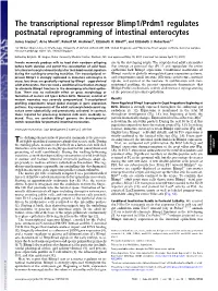 The Transcriptional Repressor Blimp1/Prdm1 Regulates Postnatal Reprogramming of Intestinal Enterocytes