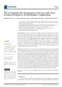 The Cat Mandible (II): Manipulation of the Jaw, with a New Prosthesis Proposal, to Avoid Iatrogenic Complications