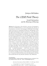 The CEMI Field Theory Gestalt Information and the Meaning of Meaning
