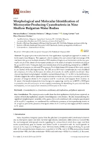 Morphological and Molecular Identification of Microcystin