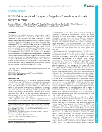 RSPH6A Is Required for Sperm Flagellum Formation and Male