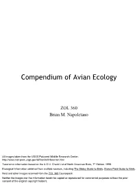 Compendium of Avian Ecology