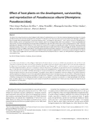 Effect of Host Plants on the Development, Survivorship, and Reproduction Ofpseudococcus Viburni (Hemiptera: Pseudococcidae)