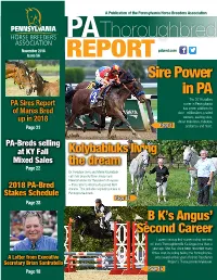 Thoroughbred Pabred.Com November 2018 Pabred.Com Issue 56 REPORT