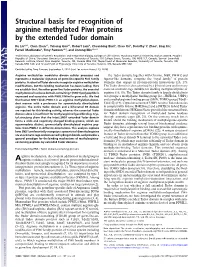 Structural Basis for Recognition of Arginine Methylated Piwi Proteins by the Extended Tudor Domain