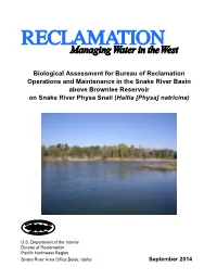 Biological Assessment for Bureau of Reclamation Operations And