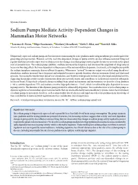 Sodium Pumps Mediate Activity-Dependent Changes in Mammalian Motor Networks