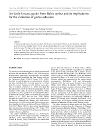 An Early Eocene Gecko from Baltic Amber and Its Implications for the Evolution of Gecko Adhesion