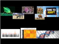 Genomics of Speciation and Adaptation: Introduction 19.02.2019, Clément Lafon Placette Speciation: a Question As Old As Human Kind