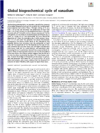 Global Biogeochemical Cycle of Vanadium