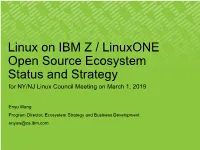 Linux on Z Platform ISV Strategy Summary