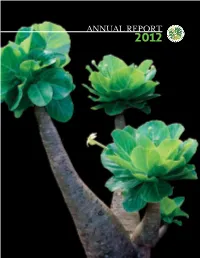 2012 Annual Report
