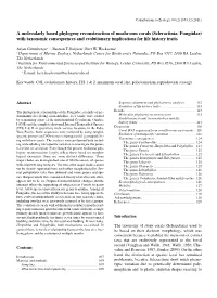 A Molecularly Based Phylogeny Reconstruction of Mushroom Corals