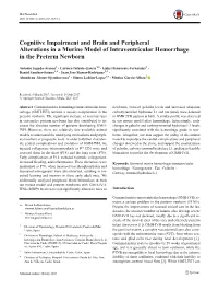 Cognitive Impairment and Brain and Peripheral Alterations in a Murine Model of Intraventricular Hemorrhage in the Preterm Newborn