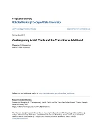 Contemporary Amish Youth and the Transition to Adulthood