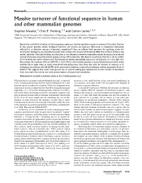 Massive Turnover of Functional Sequence in Human and Other Mammalian Genomes