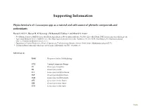 Supporting Information