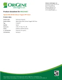Apba2 (NM 007461) Mouse Tagged ORF Clone Product Data