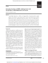 Emerging Functions of SRSF1, Splicing Factor and Oncoprotein, in RNA Metabolism and Cancer