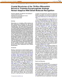 Crystal Structures of the Thi-Box Riboswitch Bound to Thiamine Pyrophosphate Analogs Reveal Adaptive RNA-Small Molecule Recognition