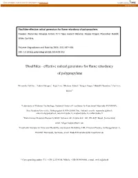 Disulfides-Effective Radical Generators for Flame Retardancy