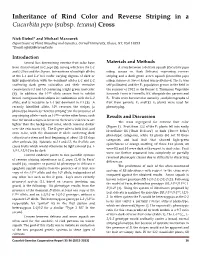 Inheritance of Rind Color and Reverse Striping in a Cucurbita Pepo (Subsp