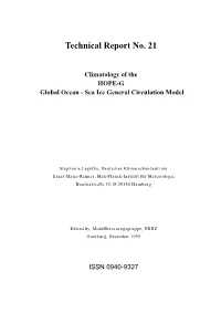 Technical Report No. 21