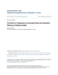 The Effects of Temperature on Evacuation Rates and Absorption Efficiency of Flathead Catfish