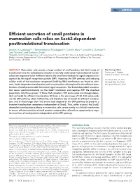 Efficient Secretion of Small Proteins in Mammalian Cells Relies on Sec62-Dependent Posttranslational Translocation