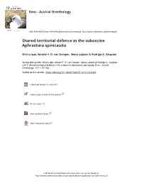 Shared Territorial Defence in the Suboscine Aphrastura Spinicauda