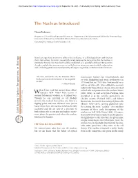 The Nucleus Introduced