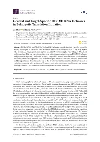 General and Target-Specific Dexd/H RNA Helicases in Eukaryotic Translation Initiation