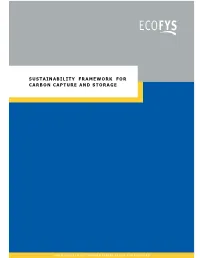 Sustainability Framework for Carbon Capture and Storage