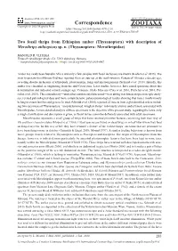 Two Fossil Thrips from Ethiopian Amber (Thysanoptera) with Description of Merothrips Aithiopicus Sp
