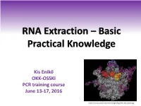 RNA Isolation