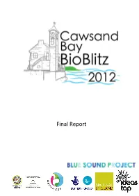 Final Report