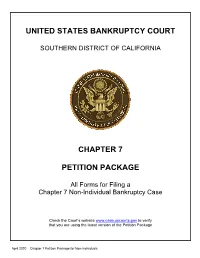 Chapter 7 Petition Package for Non-Individuals Instructions