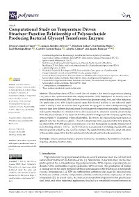 Computational Study on Temperature Driven Structure–Function Relationship of Polysaccharide Producing Bacterial Glycosyl Transferase Enzyme