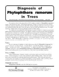 Diagnosis of Phytophthora Ramorum in Trees