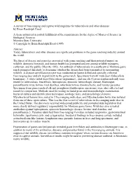 A Survey of Free-Ranging and Captive Wild Ungulates for Tuberculosis And