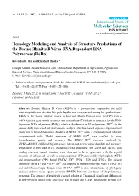 Homology Modeling and Analysis of Structure Predictions of the Bovine Rhinitis B Virus RNA Dependent RNA Polymerase (Rdrp)