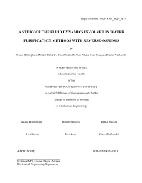 A Study of the Fluid Dynamics Involved in Water Purification