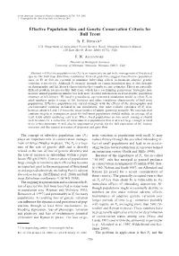 Effective Population Size and Genetic Conservation Criteria for Bull Trout