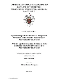 Epidemiological and Molecular Analysis of Virulence and Antibiotic Resistance in Acinetobacter Baumannii
