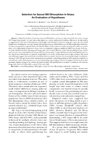 Selection for Sexual Bill Dimorphism in Ibises: an Evaluation of Hypotheses