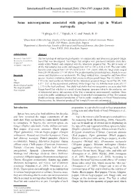 Some Microorganisms Associated with Ginger-Based Yaji in Wukari Metropolis