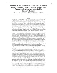 Space-Time Patterns of Late Cretaceous to Present Magmatism in New Mexico--Comparison with Andean Volcanism and Potential for Fu