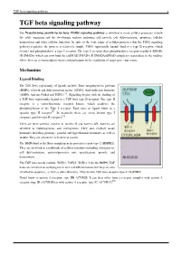 TGF Beta Signaling Pathway 1 TGF Beta Signaling Pathway