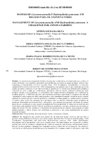MANEJO DE Cerconota Anonella E Bephratelloides Pomorum: UM DESAFIO PARA OS ANONICULTORES